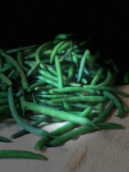 Homestead Blog Hop Feature - Preserving Green Beans