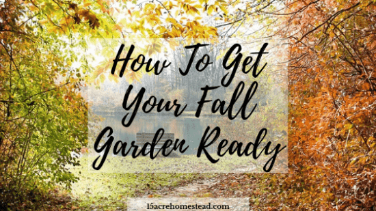 Homestead Blog Hop - How-To-Get-Your-Fall-Garden-Ready