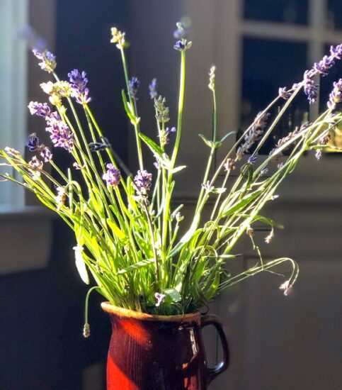 Homestead Blog Hop Feature - 13-Ways-To-Preserve-Fresh-Herbs