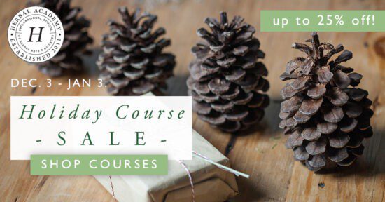 11 Last Minute Herb and Essential Oil Gift Ideas. Herbal Academy Courses.