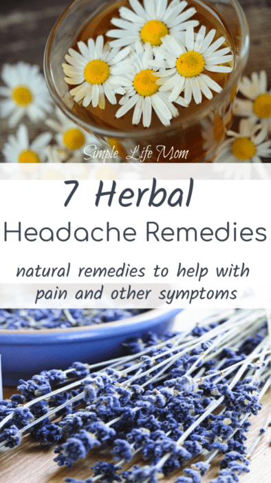 7 Herbal Headache Remedies from Simple Life Mom