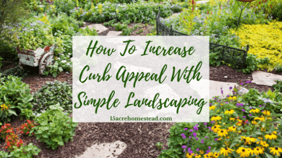 Homestead Blog Hop Feature -Increase-Curb-Appeal with Simple Landscaping