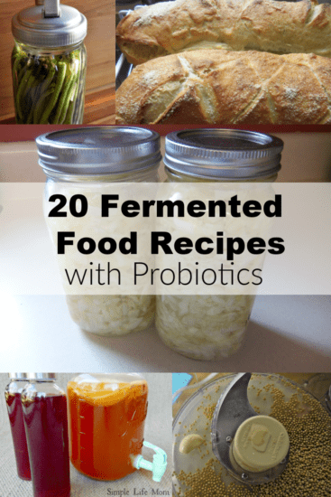 20 Fermented Food Recipes with Probiotics from Simple Life Mom