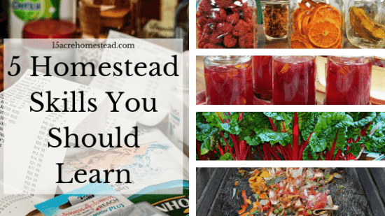 Homestead Blog Hop Feature - 5-Homestead-Skills-You-Should-Learn