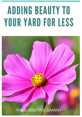 Homestead Blog Hop Feature - adding beauty to your yard for less
