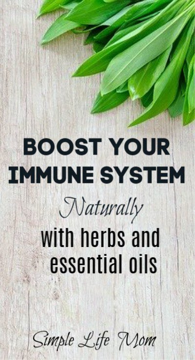 boost immune system naturally with herbs and essential oils by Simple Life Mom