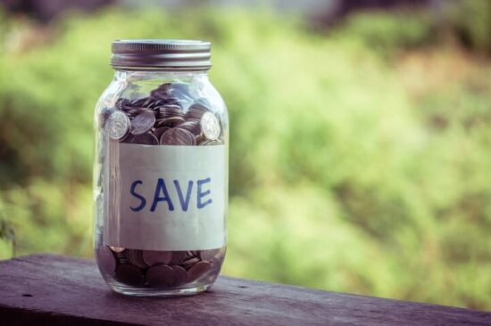 Homestead Blog Hop Feature - ways-to-save-money