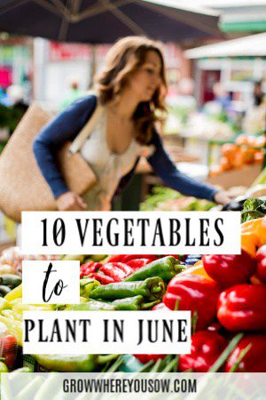 https://growwhereyousow.com/vegetables-to-plant-in-june/