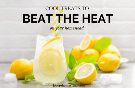 Homestead Blog Hop Feature - Cool Treats to Beat the Heat