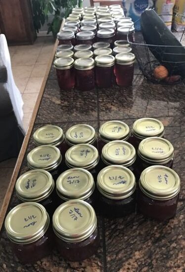Homestead Blog Hop Feature- Home Canning 101
