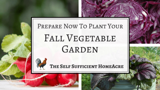 Homestead Blog Hop Feature - Prepare-Now-To-Plant-Your-Fall-Vegetables