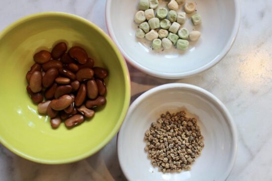 Homestead Blog Hop Feature - How to store heirloom seeds and why