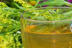 Leaky Gut Tea for Digestion Aid by Rosalee de la Foret from Simple Life Mom