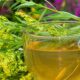 Leaky Gut Tea – Herbal Digestion Aid