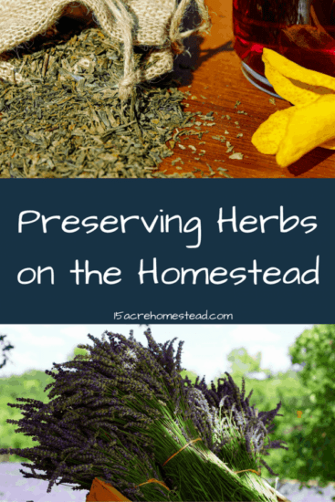 Homestead Blog Hop Feature - Preserving-Herbs-on-the-homestead
