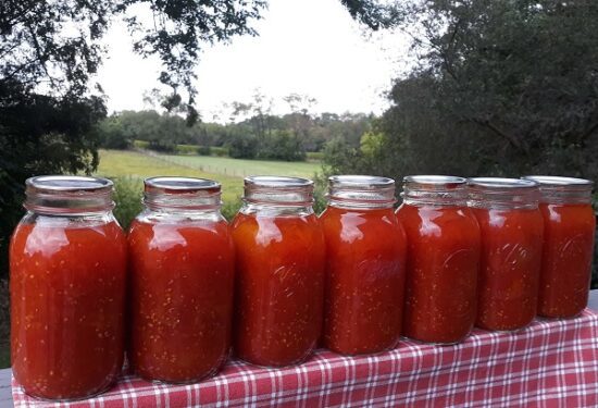 Homestead Blog Hop Feature - Safely canning-crushed-tomatoes