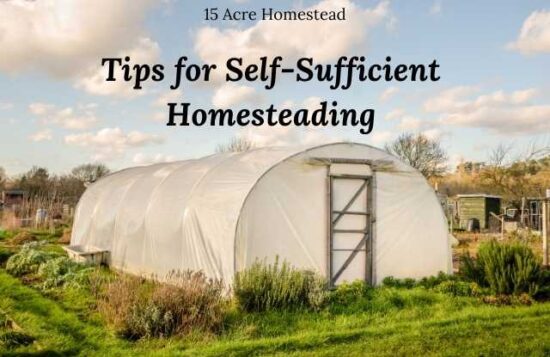 Homestead Blog Hop Feature - Tips-for-Self-sufficient-Homesteading