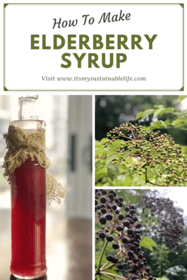 Homestead Blog Hop Feature - Elderberry-Syrup-A-Robust-Cold-Flu-Remedy