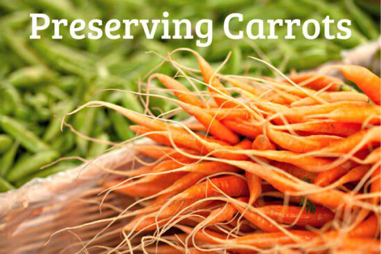 Homestead Blog Hop Feature - preserving carrots