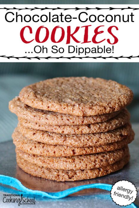 7 Christmas Cookie Recipes - Chocolate Coconut Cookies