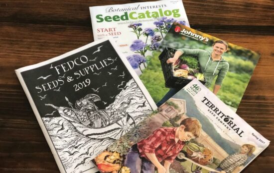 Homestead Blog Hop Feature - Its-My-Favorite-Time-Of-Year-Buying-Heirloom-Seeds