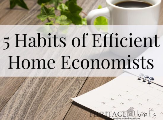 Homestead Blog Hop Feature - 5 Habits of an Efficient Home Economist