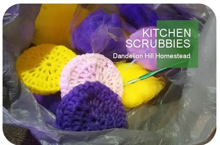 Homestead Blog Hop Feature - Kitchen Scrubbies