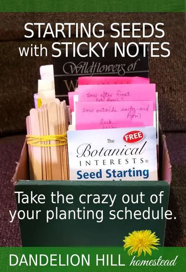Homestead Blog Hop Feature - Starting Seeds with Sticky Notes