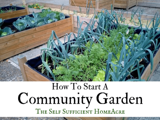 Homestead Blog Hop Feature - How to start a community garden