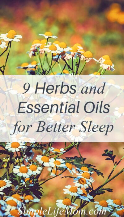 9 Herbs and Essential Oils for Sleep from Simple Life Mom
