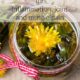 Dandelion Oil for Inflammation and Sore Joints