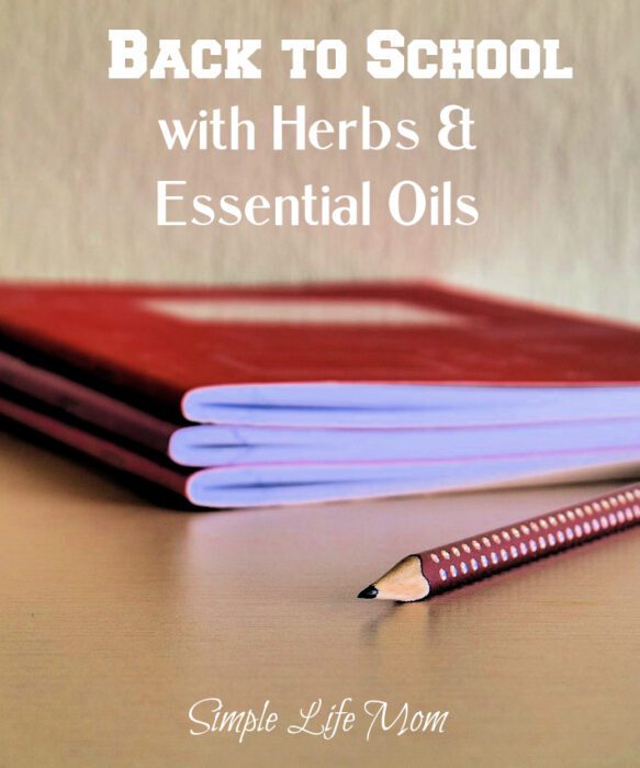 Back to School with Herbs and Essential Oils for anxiety, concentration, focus, energy, and better sleep.