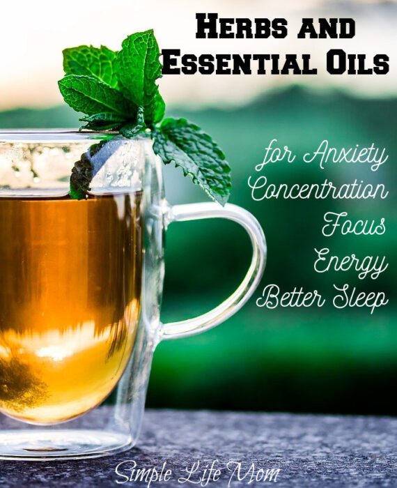 Back to School with Herbs and Essential Oils for anxiety, concentration, focus, energy, and better sleep.