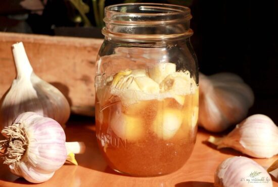 Homestead Blog Hop feature - Honey-Fermented-Garlic