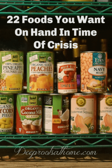 Homestead Blog Hop Feature - 22 Foods You Want in Time of Crisis