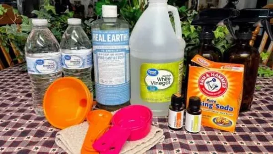 Homestead Blog Hop Feature - Homemade-Cleaning-Supplies