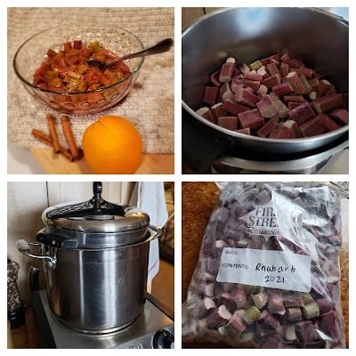 Homestead Blog Hop Feature - Poached Rhubarb