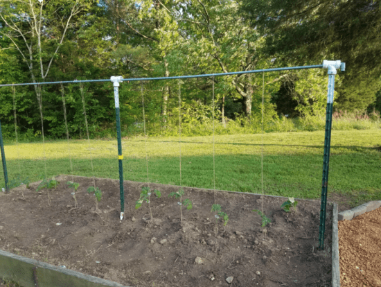 Homestead Blog Hop Feature - Gardening and New Trellis System