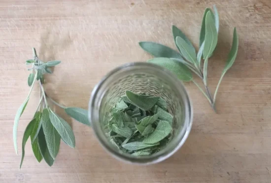 Homestead Blog Hop Feature - Herbal-Oxymel-Benefits-Uses-And-Recipes