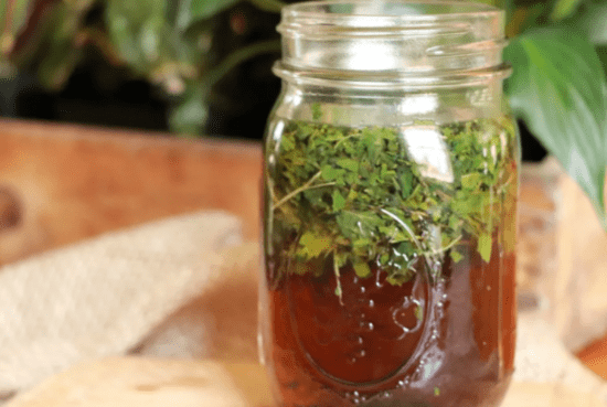 Homestead Blog Hop Feature - How to Make Herbal Infusions