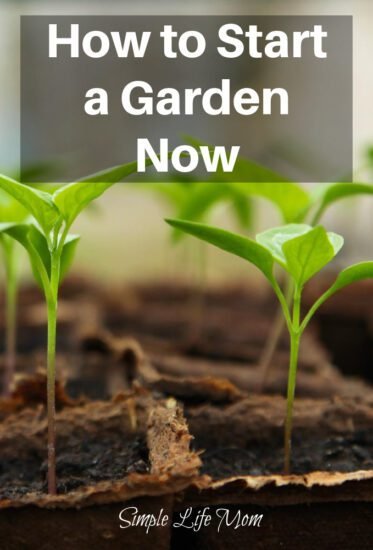 How to Start a Garden – Where, When and What to Grow - Simple Life Mom