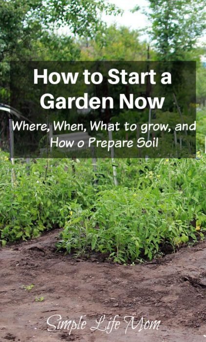 How-to-Start-a-Garden-Now-When-Where-what-to-grow-and-how-to-amend-soil-from-Simple-life-Mom