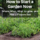 How to Start a Garden – Where, When and What to Grow