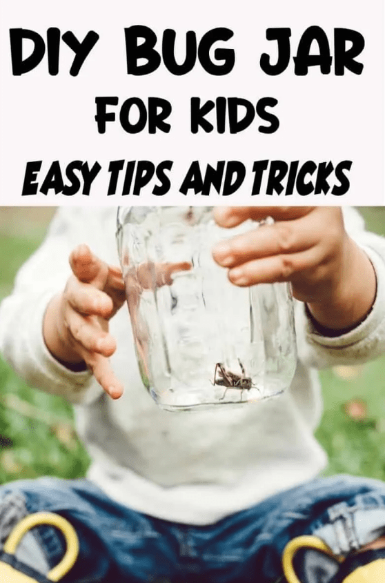 Homestead Blog Hop Feature - DIY Bug Jar for Kids