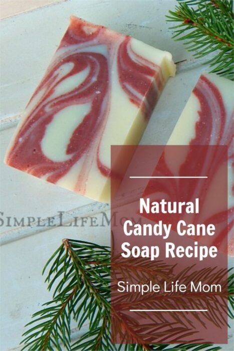 Peppermint Candy Handmade Cold Process Soap Made With Goat Milk 