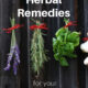 15 Quick Herbal Remedies for your Medicine Cabinet