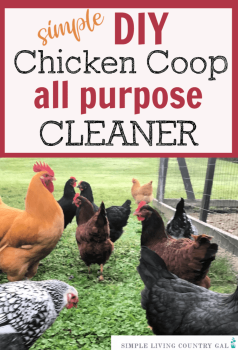 Homestead Blog Hop Feature - DIY Chicken Coop All Purpose Cleaner