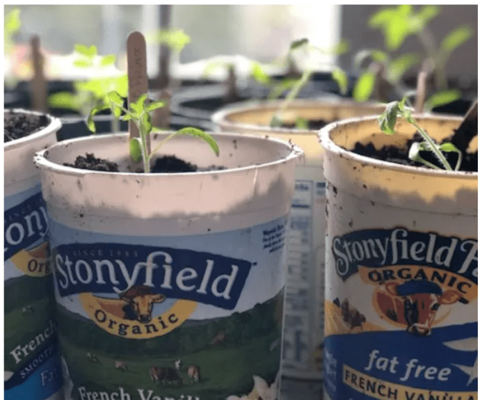 Homestead Blog Hop Feature - Alternatives for DIY Seed Planting Pots on the Cheap