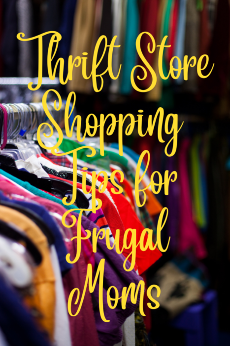 Homestead-Blog-Hop-Feature-Thrift-Store-Shopping-Tips-for-Frugal-Moms
