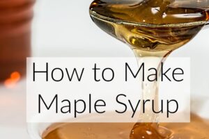 How to Make Maple Syrup - cooking down the sap by Simple Life Mom